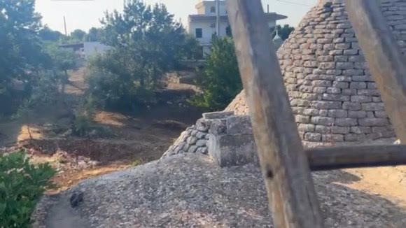 Farm road through the olive groves