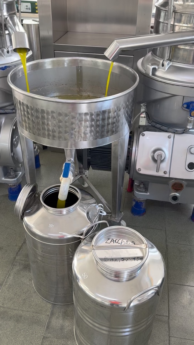 Pressing equipment at the frantoio
