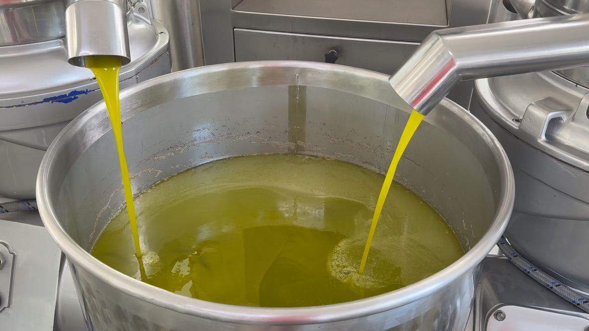 Oil pressing — golden oil flowing