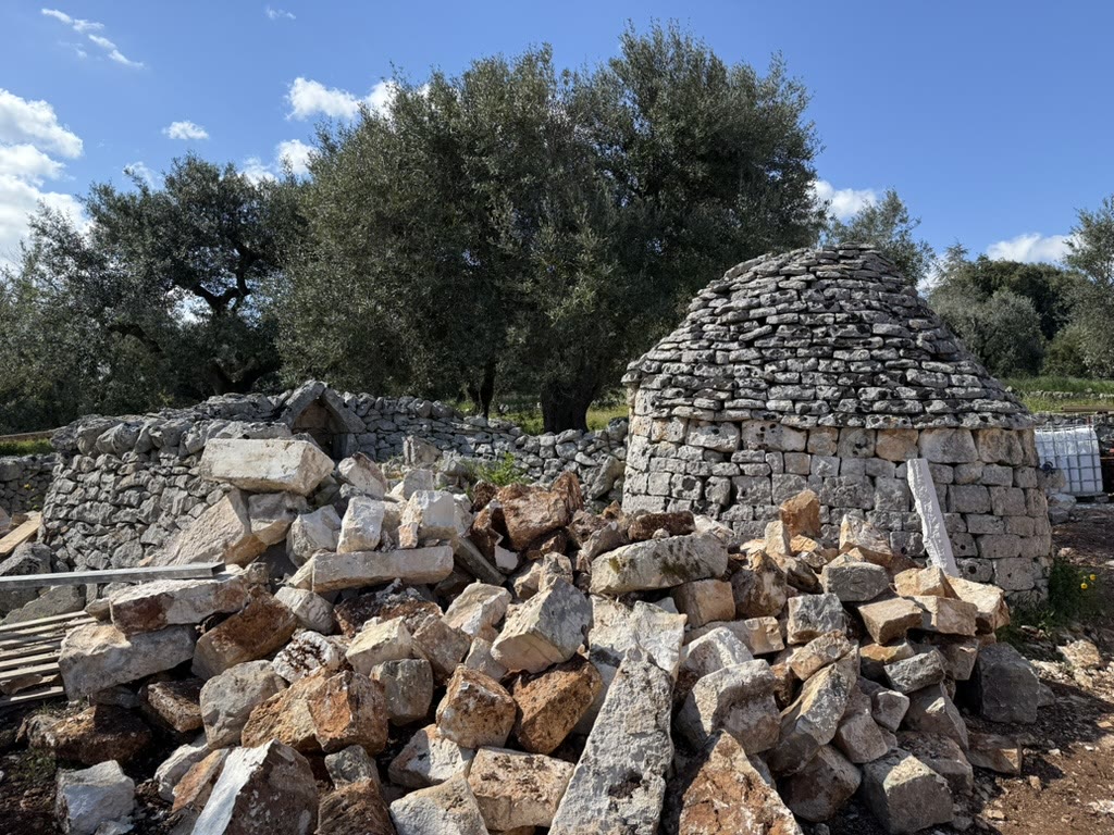 Red Puglian earth among the olive terraces