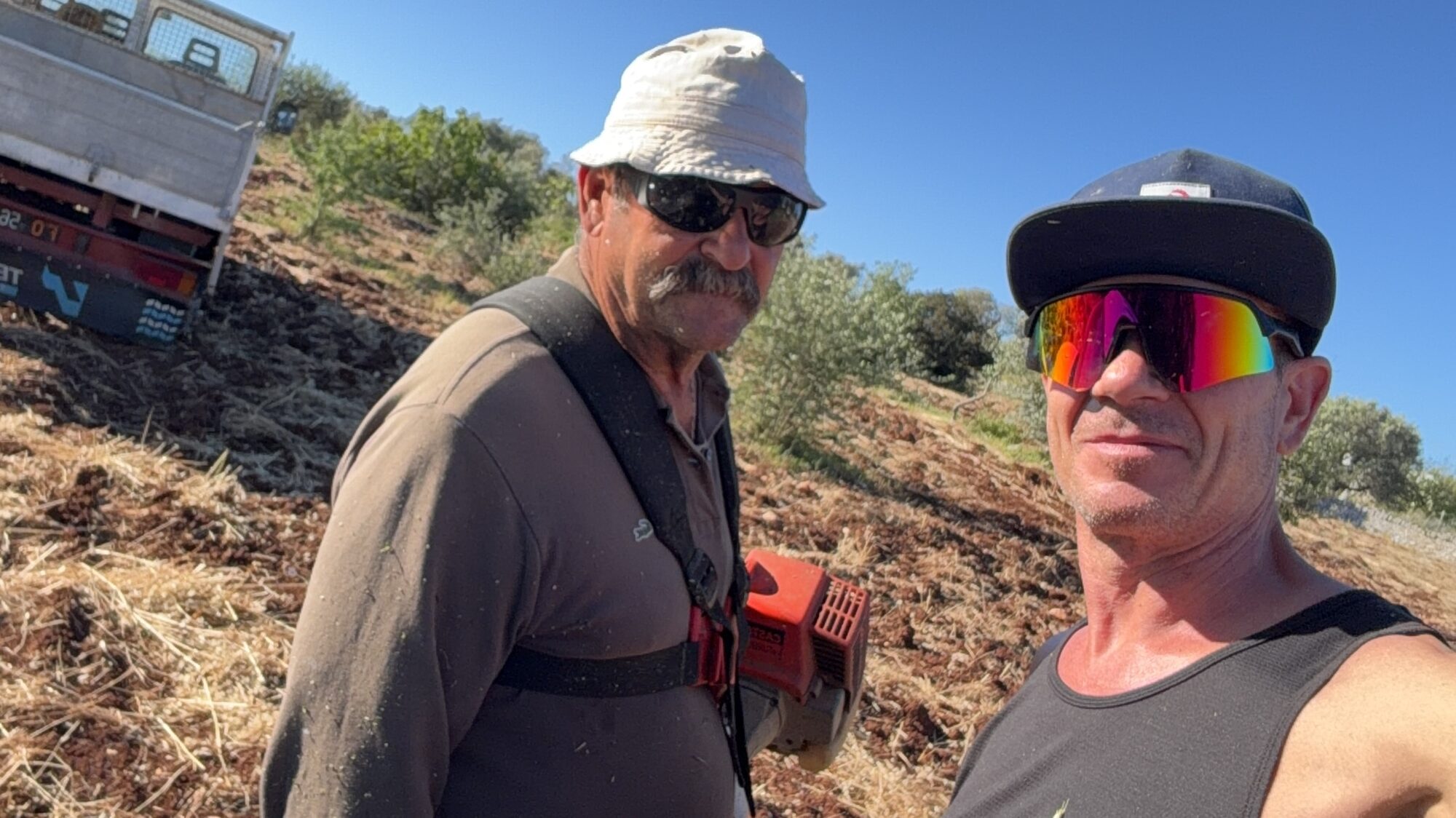 Daniel and a working companion on the terraces, clearing the land by hand beneath the olive trees