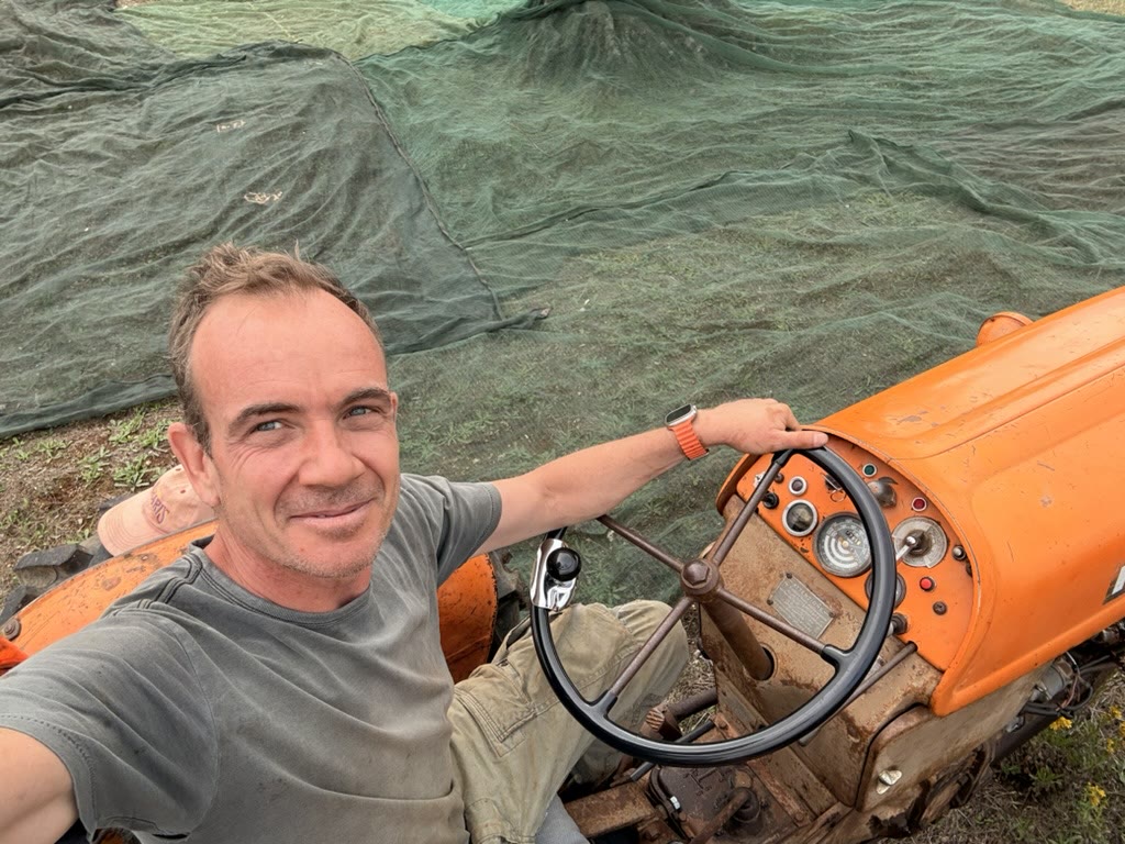 Daniel at the wheel of the vintage Fiat tractor